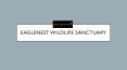 Eaglenest wildlife sanctuary PowerPoint PPT Presentation