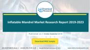 Inflatable Mandrel Market Research Report 2019 2023