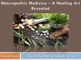 Naturopathic Medicine - A Healing Art Revealed PowerPoint PPT Presentation