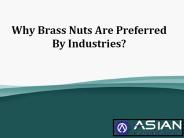 All the information about the brass nuts