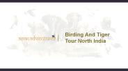 Birding and tiger tour north india