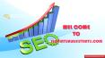 SEO Virtual Assistant Service PowerPoint PPT Presentation