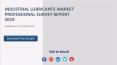 Industrial Lubricants Market Professional Survey Report 2019 PowerPoint PPT Presentation