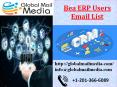 Bea ERP Users Email List PowerPoint PPT Presentation