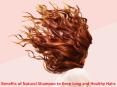 Benefits of Natural Shampoo to Keep Long and Healthy Hair PowerPoint PPT Presentation