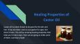 Healing properties of Castor Oil PowerPoint PPT Presentation