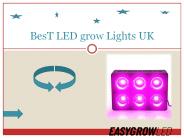 Best LED grow Lights UK