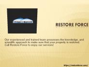 Mold Damage West Palm Beach