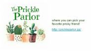 Cactus & Succulents - The Prickle Parlor