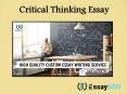 Avail Critical Thinking Essay Writing Services from EssayMin PowerPoint PPT Presentation