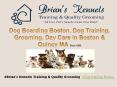 Dog Boarding Boston PowerPoint PPT Presentation