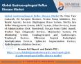 Global Gastroesophageal Reflux Disease Market– Industry Trends and Forecast to 2026 PowerPoint PPT Presentation