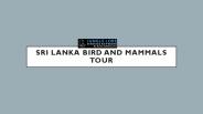 Sri lanka Tour