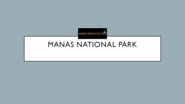manas national park (1)