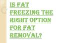 What is Fat Freezing Course Procedure? PowerPoint PPT Presentation