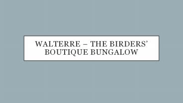Walterre – The Birders’ Boutique Bungalow