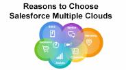 Reasons to Choose Salesforce Multiple Clouds