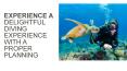 Experience a delightful diving experience with a proper planning PowerPoint PPT Presentation