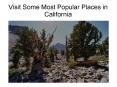 Visit Some Most Popular Places in California PowerPoint PPT Presentation