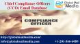 leekirstChief Compliance Officers (CCO) Email Database PowerPoint PPT Presentation