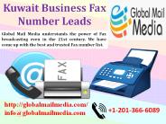 Kuwait Business Fax Number Leads