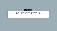 Forest owlet tour