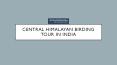 Central himalayan birding tour in india PowerPoint PPT Presentation