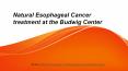 Natural Esophageal Cancer treatment at the Budwig Center PowerPoint PPT Presentation