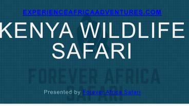 Kenya Wildlife Safari -Forever Africa Safari (1)