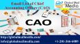 Email List of Chief Accounting Officer (CAO) PowerPoint PPT Presentation
