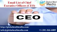 Email List of Chief Executive Officers (CEO)