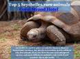 Top 5 Seychelles rare animals Coral Strand Hotel PowerPoint PPT Presentation