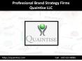 Professional Brand Strategy Firms - Quaintise LLC PowerPoint PPT Presentation