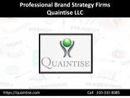 Professional Brand Strategy Firms - Quaintise LLC