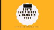 South India Birding Tours
