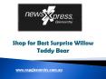 Shop for Best Surprise Willow Teddy Bear - www.nxpglenorchy.com.au