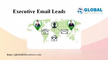 Executive Email Leads