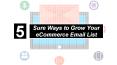 5 Sure Ways to Grow Your Ecommerce Email List PowerPoint PPT Presentation