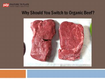 Why Should You Switch to Organic Beef?