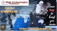 Sap Training institute in Delhi