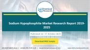 Sodium Hypophosphite Market Research Report 2019-2023