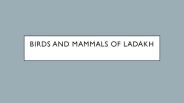 birding in ladakh