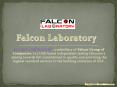Calibration companies UAE - Falcon Lab PowerPoint PPT Presentation