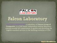 Calibration companies UAE - Falcon Lab