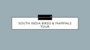 Bird Watching South India