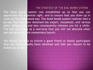 The Strategy of the Bail Bonds System