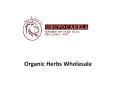 Organic Herbs Wholesale