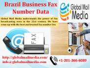 Brazil Business Fax Number Data