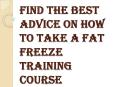 How can you Take the Fat Freeze Training Course? PowerPoint PPT Presentation