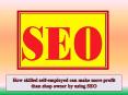 How skilled self-employed can make more profit than shop owner by using SEO PowerPoint PPT Presentation